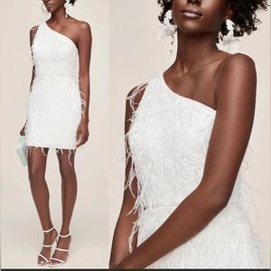 Anne Barge Twinkle In Time Feather Beaded Dress